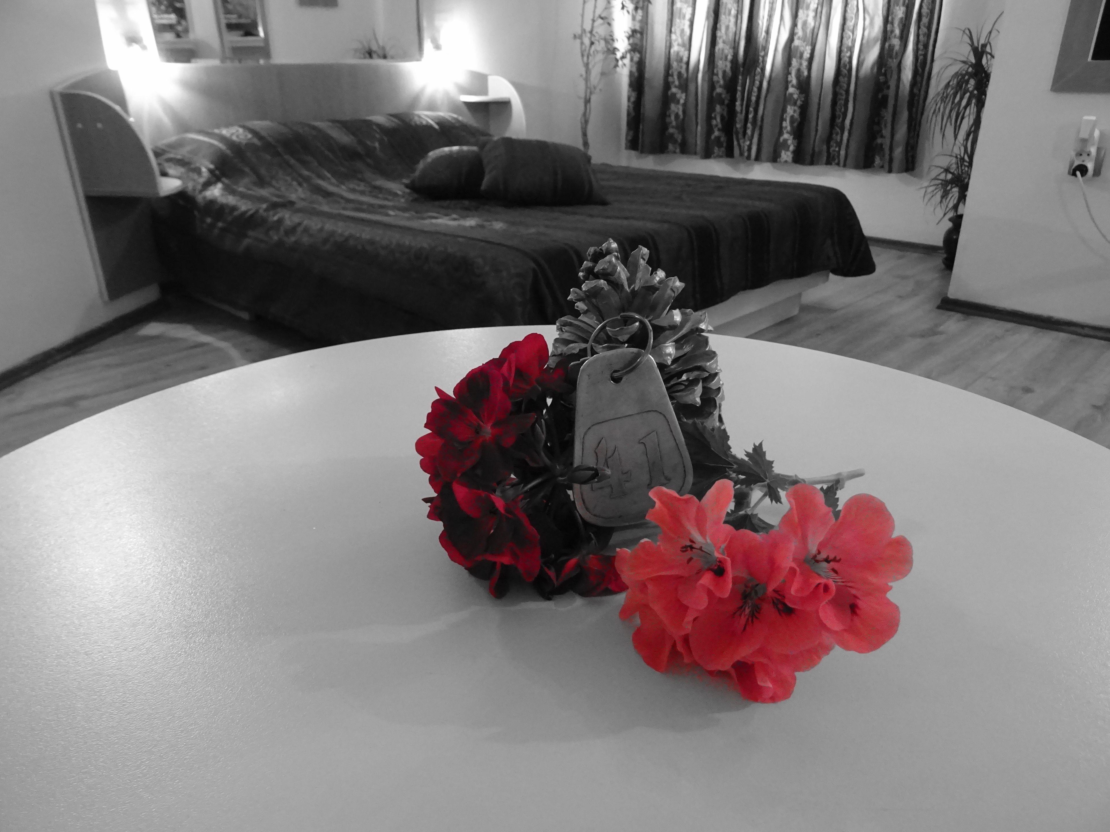 Hotel Color Varna ภายนอก รูปภาพ