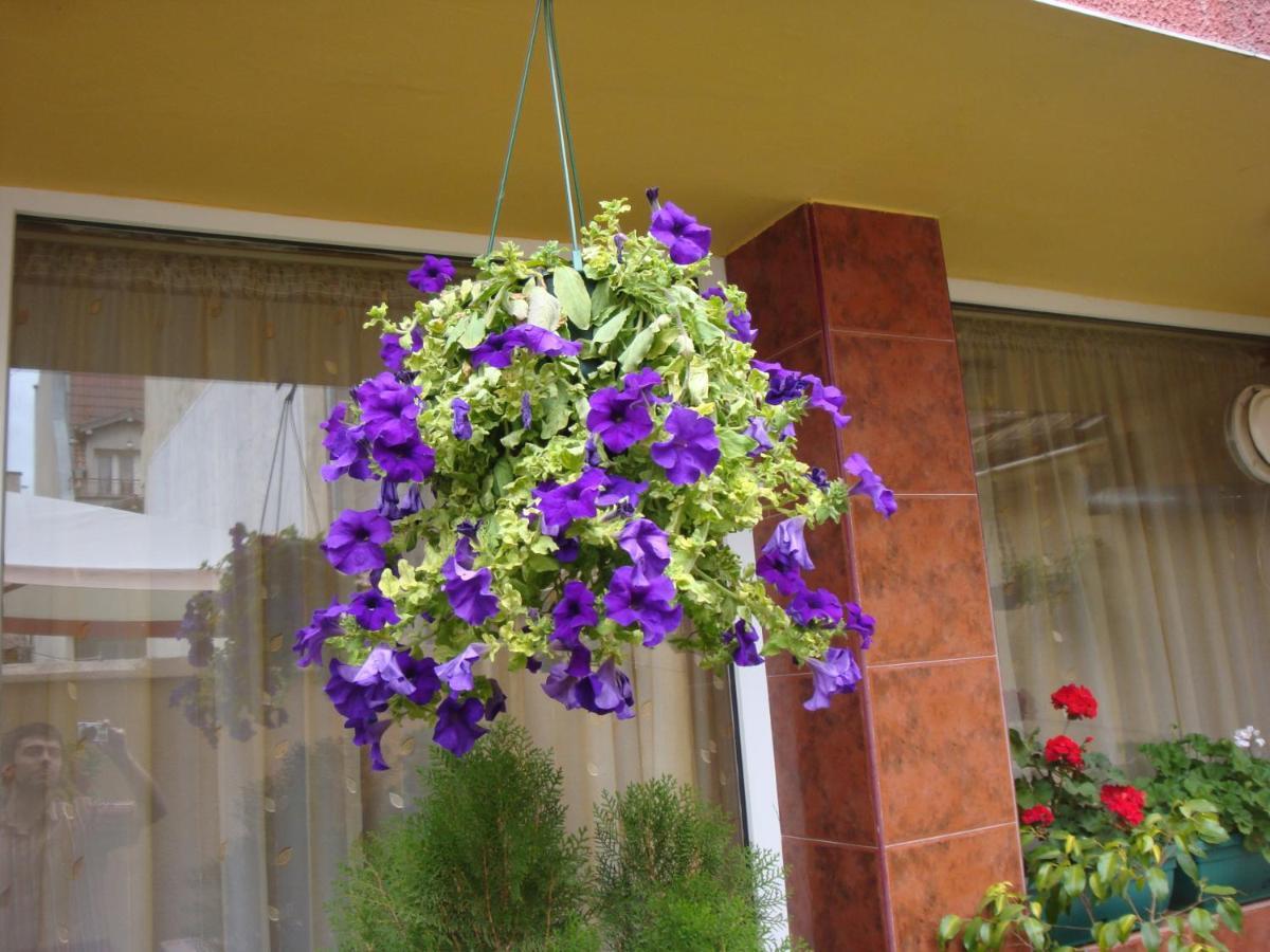 Hotel Color Varna ภายนอก รูปภาพ